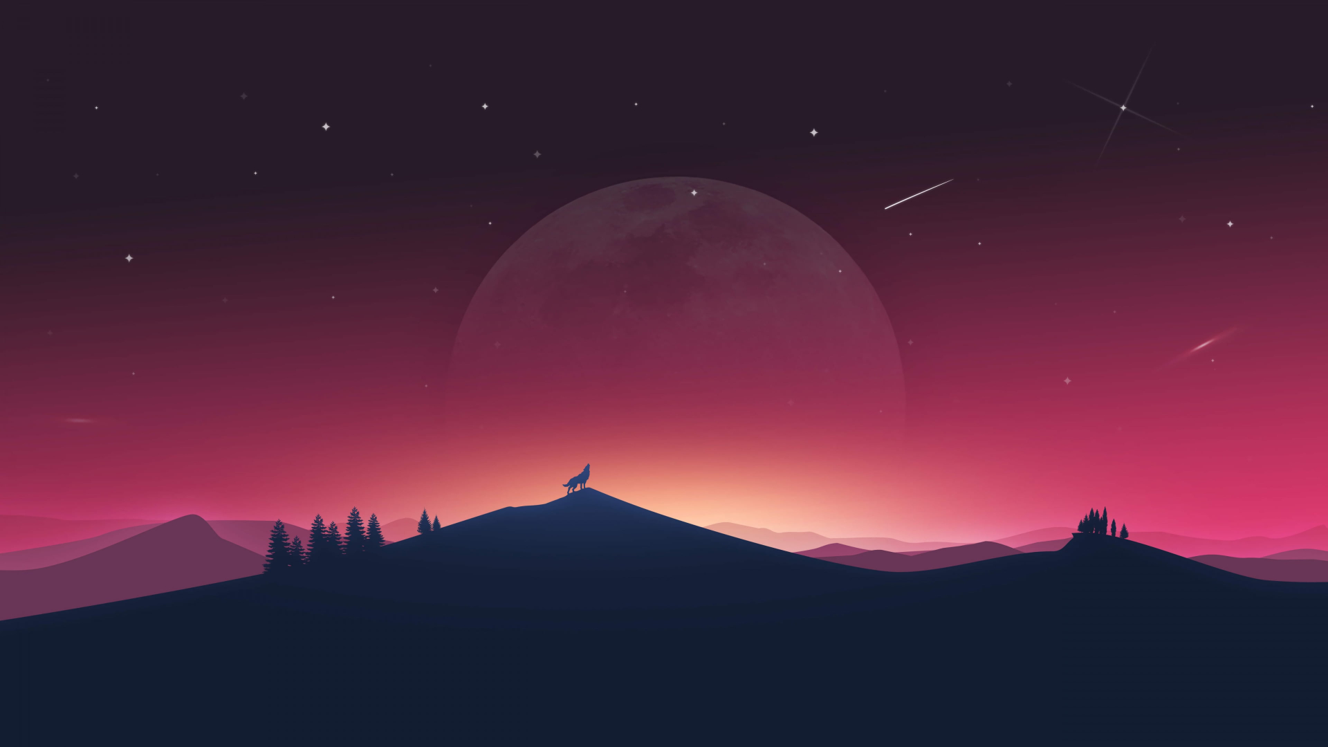 Woods Illustration